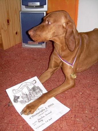 medajle + diplom.jpg